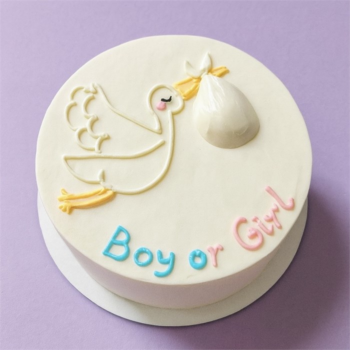 Гендерный бенто торт XL с аистом 1828