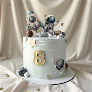 Торт Космос (от 2 кг) 1810